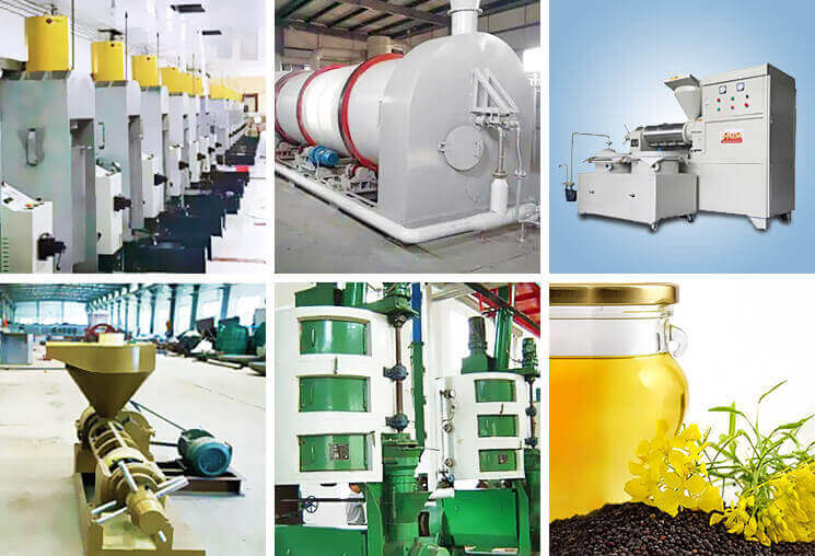 菜籽油生產設備廠家華泰糧油機械